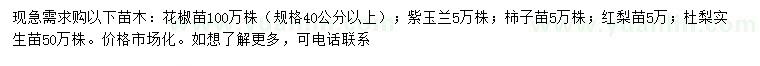 求購(gòu)花椒苗、紫玉蘭、柿子樹(shù)苗等