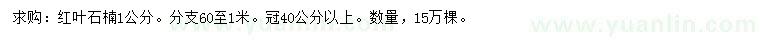 求購1公分紅葉石楠
