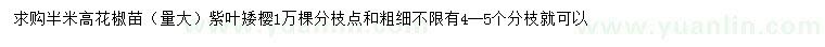 求購高50公分花椒苗、紫葉矮櫻
