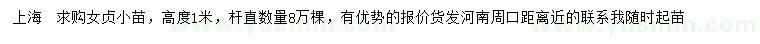 求購(gòu)高1米女貞小苗