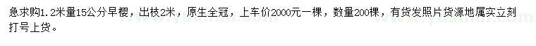 求購1.2米量15公分早櫻