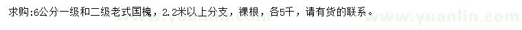 求購6公分老式國槐