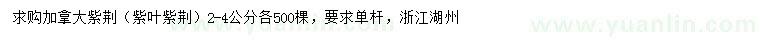 求購2-4公分加拿大紫荊