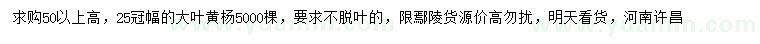 求購高50公分以上大葉黃楊