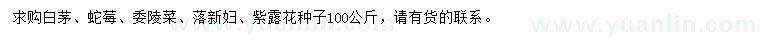 求購白茅種子、蛇莓種子、委陵菜種子等