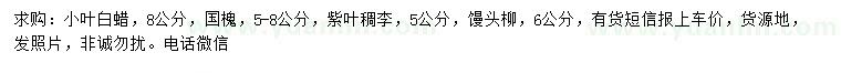 求購(gòu)小葉白蠟、國(guó)槐、紫葉稠李等