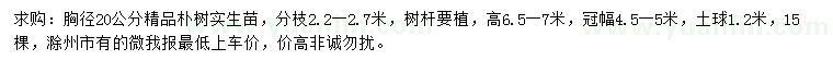 求購胸徑20公分樸樹