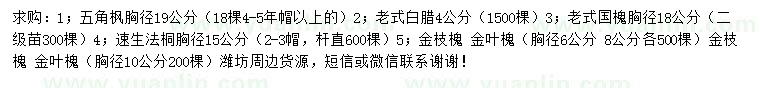 求購五角楓、老式白蠟、老式國槐等