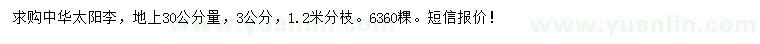 求購30量3公分中華太陽李