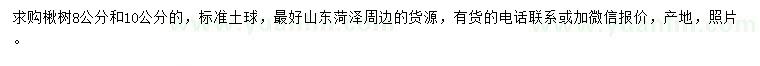 求購8、10公分楸樹