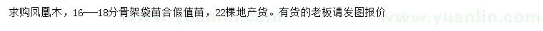 求購16-18公分鳳凰木