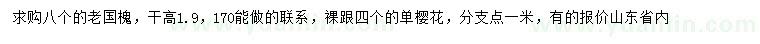 求購8公分老國槐、4公分單櫻