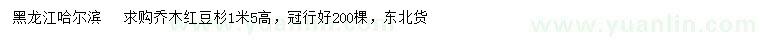 求購(gòu)高1.5米紅豆杉