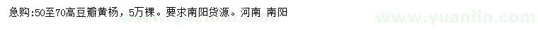 求購(gòu)高50-70公分豆瓣黃楊