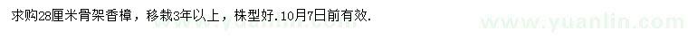 求購28公分香樟