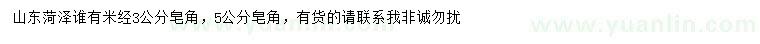 求購米徑3、5公分皂角