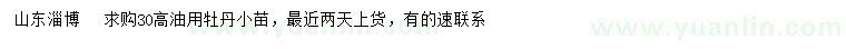 求購高30公分油用牡丹小苗