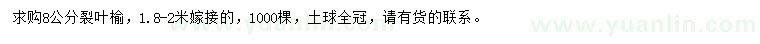 求購8公分裂葉榆
