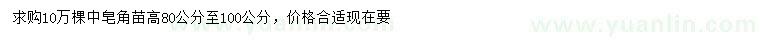 求購(gòu)高80-100公分中皂角苗