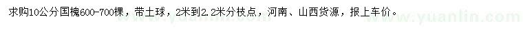 求購10公分國槐