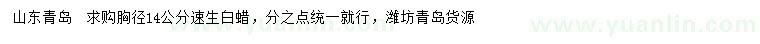 求購胸徑14公分速生白蠟