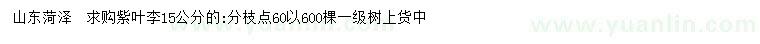 求購(gòu)15公分紫葉李