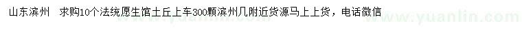 求購10公分法桐