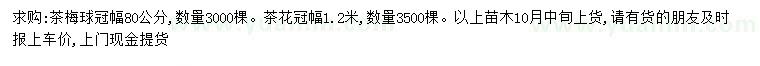 求購冠幅80公分茶梅球、120公分茶花