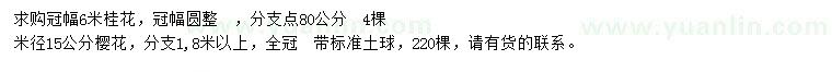 求購冠幅6米桂花、米徑15公分櫻花