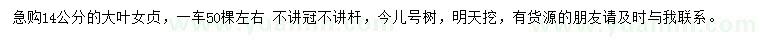 求購14公分大葉女貞