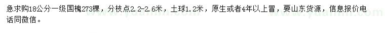 求購18公分國槐