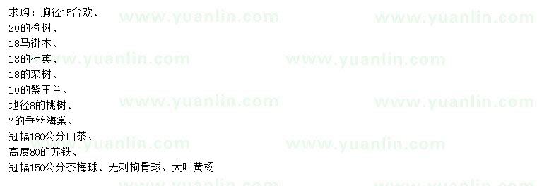 求購合歡、榆樹、馬褂木等