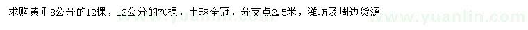 求購8、12公分黃垂柳