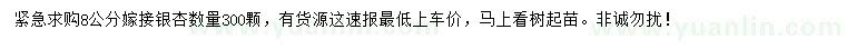 求購8公分嫁接銀杏