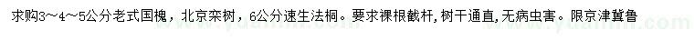 求購老式國槐、北欒、速生法桐