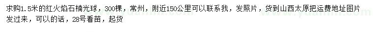 求購1.5米紅火焰石楠光球