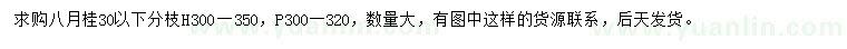 求購高300-350公分八月桂