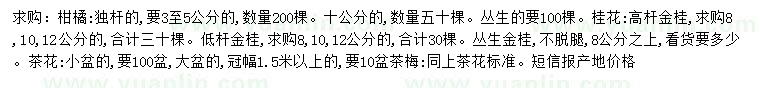 求購獨桿柑橘樹、叢生柑橘樹、高桿金桂等