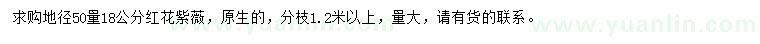 求購地徑50量18公分紅花紫薇