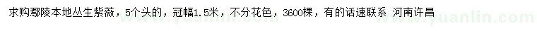 求購冠幅1.5米叢生紫薇