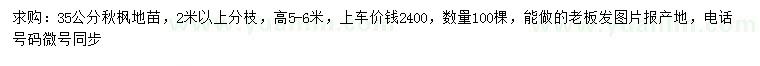 求購35公分秋楓地苗