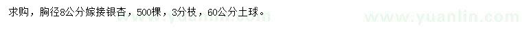 求購胸徑8公分嫁接銀杏