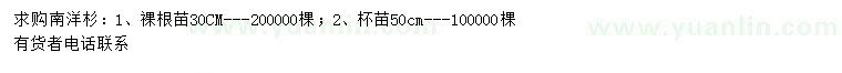 求購30、50公分南洋杉