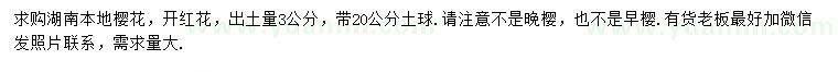 求購3公分櫻花