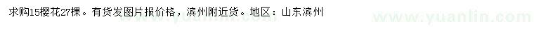 求購15公分櫻花
