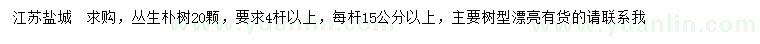 求購叢生樸樹