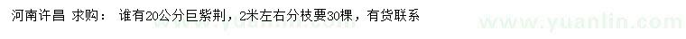 求購20公分巨紫荊