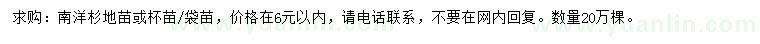 求購南洋杉小苗
