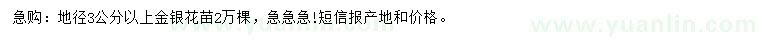 求購地徑3公分以上金銀花苗