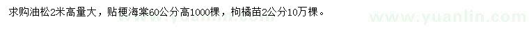 求購(gòu)油松、貼梗海棠、枸橘樹(shù)
